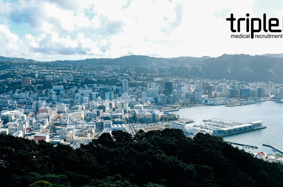 Wellington.jpg (1)